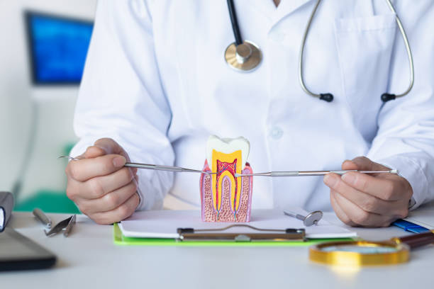 Best Emergency Wisdom Teeth Removal in Lewistown, PA